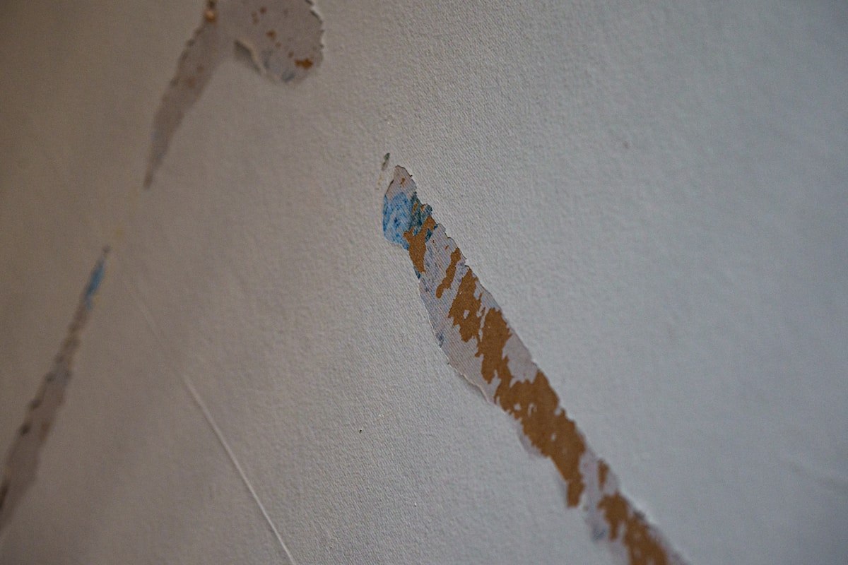 Storm Damage Repair service in Citrus Heights, CA