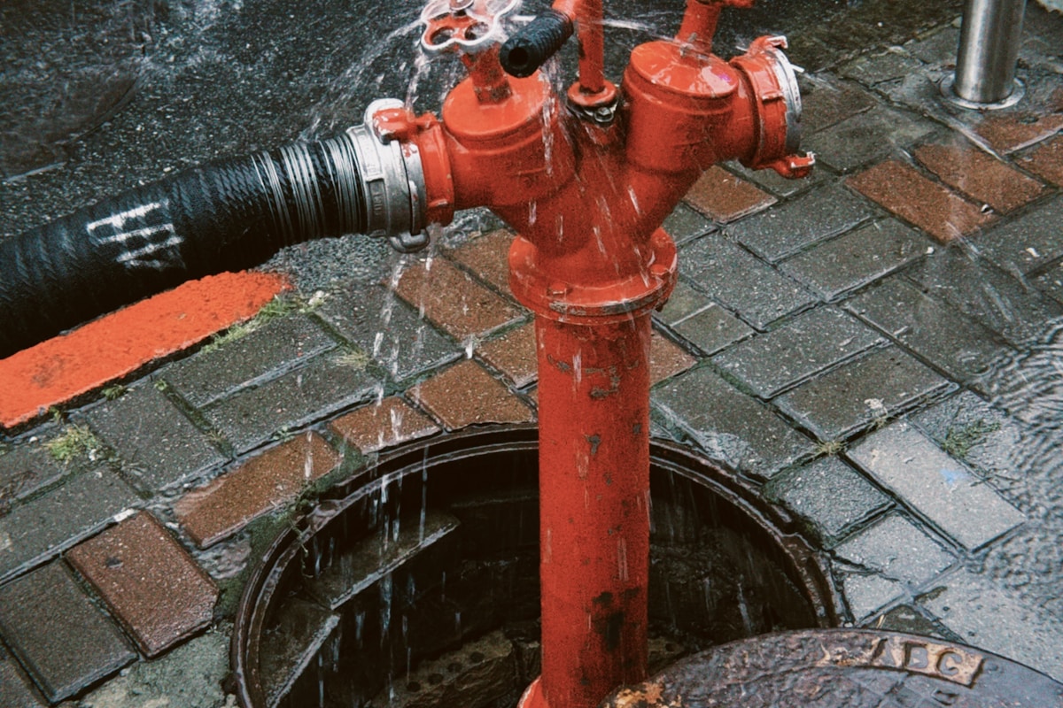 Sewage Cleanup service in Citrus Heights, CA